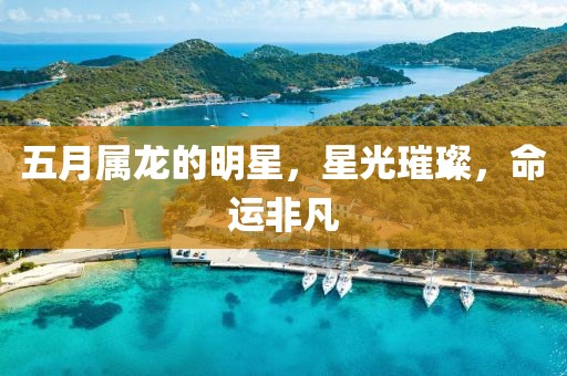 五月属龙的明星，星光璀璨，命运非凡