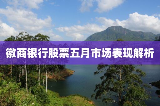 徽商银行股票五月市场表现解析