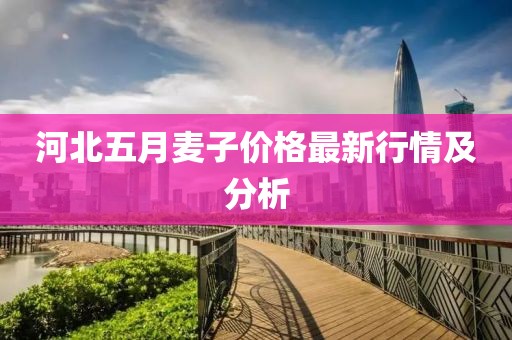 河北五月麦子价格最新行情及分析