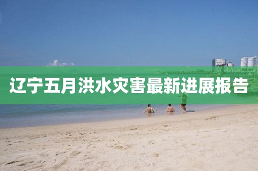 辽宁五月洪水灾害最新进展报告