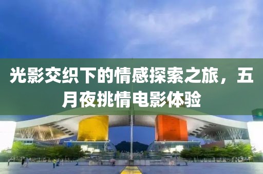 光影交织下的情感探索之旅，五月夜挑情电影体验