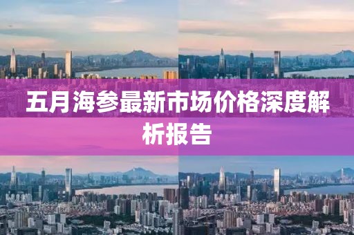 五月海参最新市场价格深度解析报告
