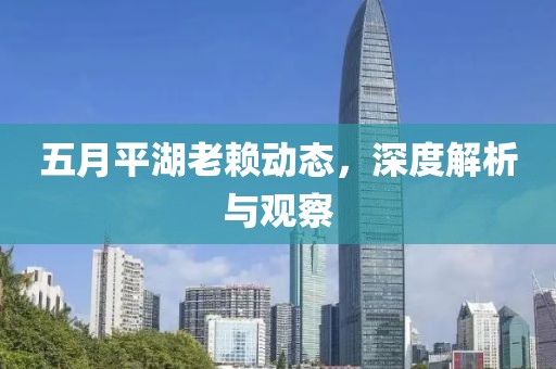 五月平湖老赖动态，深度解析与观察