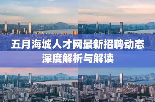 五月海城人才网最新招聘动态深度解析与解读
