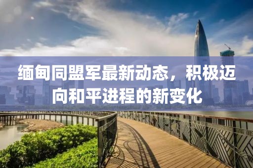 缅甸同盟军最新动态，积极迈向和平进程的新变化