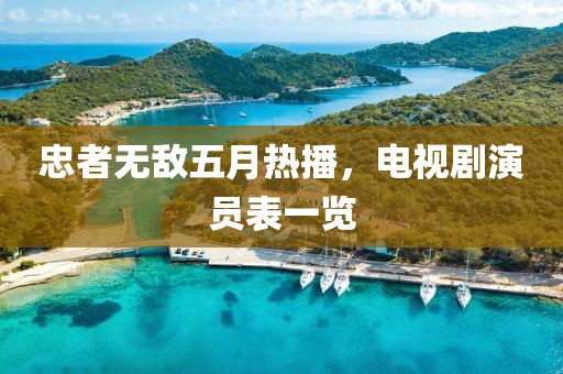 忠者无敌五月热播，电视剧演员表一览