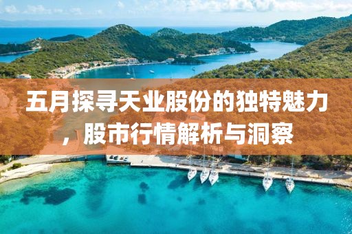 五月探寻天业股份的独特魅力，股市行情解析与洞察