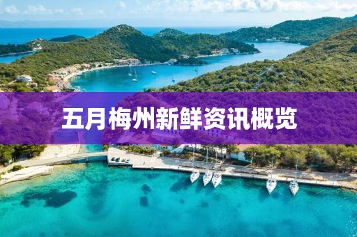 五月梅州新鲜资讯概览