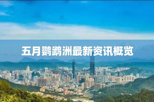 五月鹦鹉洲最新资讯概览