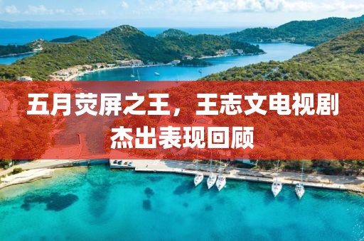 五月荧屏之王，王志文电视剧杰出表现回顾