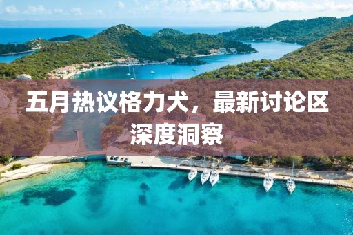 五月热议格力犬，最新讨论区深度洞察