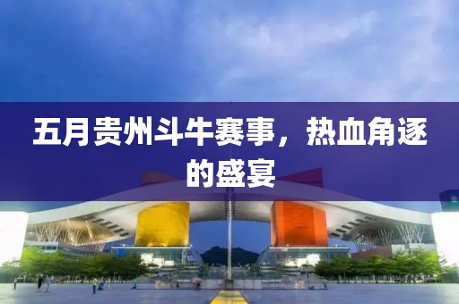 五月贵州斗牛赛事，热血角逐的盛宴