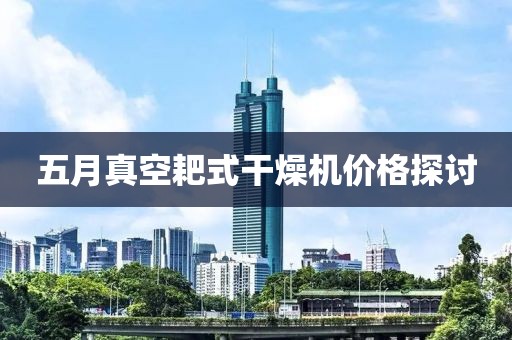 五月真空耙式干燥机价格探讨