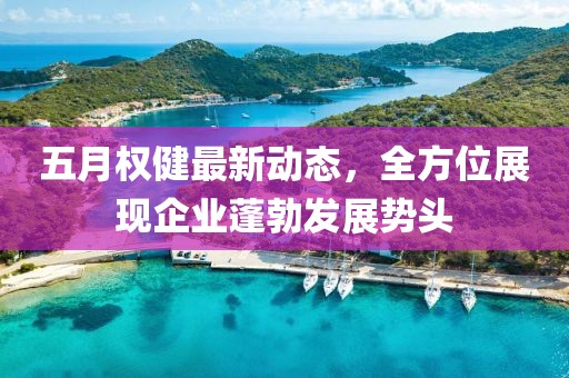 五月权健最新动态，全方位展现企业蓬勃发展势头