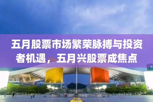 五月股票市场繁荣脉搏与投资者机遇，五月兴股票成焦点