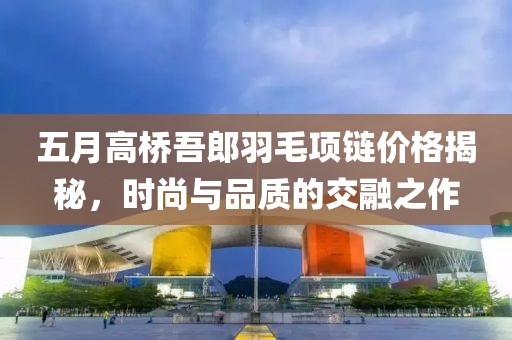 五月高桥吾郎羽毛项链价格揭秘，时尚与品质的交融之作