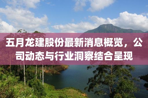 五月龙建股份最新消息概览，公司动态与行业洞察结合呈现