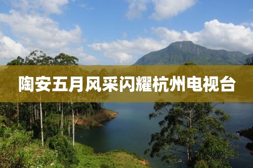 陶安五月风采闪耀杭州电视台