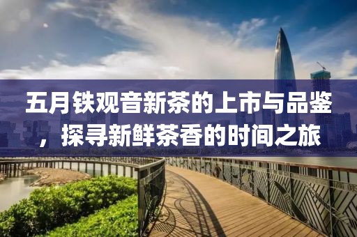 五月铁观音新茶的上市与品鉴，探寻新鲜茶香的时间之旅