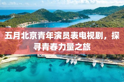 五月北京青年演员表电视剧，探寻青春力量之旅