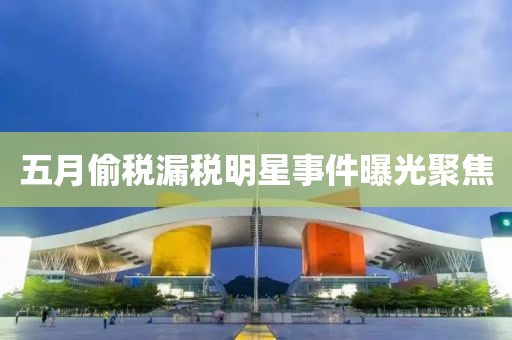 五月偷税漏税明星事件曝光聚焦