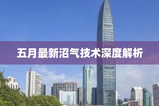 五月最新沼气技术深度解析