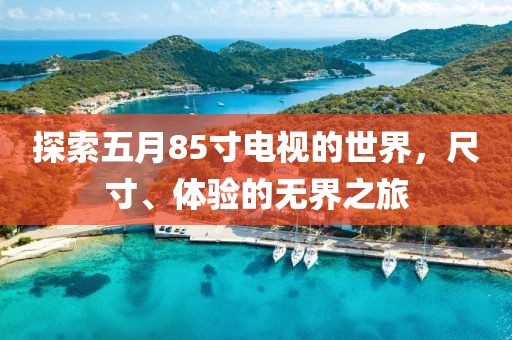 探索五月85寸电视的世界，尺寸、体验的无界之旅