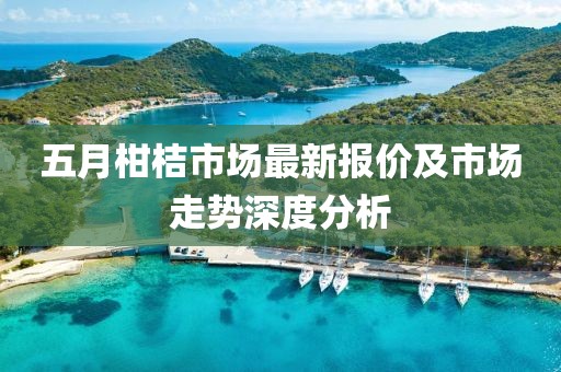 五月柑桔市场最新报价及市场走势深度分析