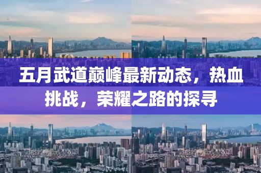 五月武道巅峰最新动态，热血挑战，荣耀之路的探寻