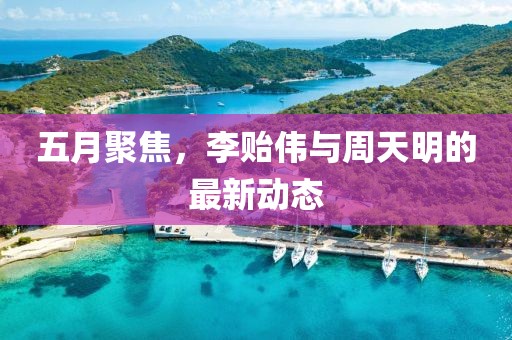 五月聚焦，李贻伟与周天明的最新动态