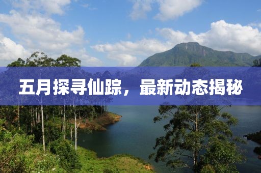 五月探寻仙踪，最新动态揭秘
