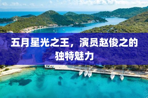 五月星光之王，演员赵俊之的独特魅力