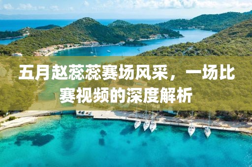 五月赵蕊蕊赛场风采，一场比赛视频的深度解析