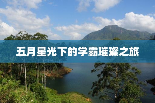 五月星光下的学霸璀璨之旅