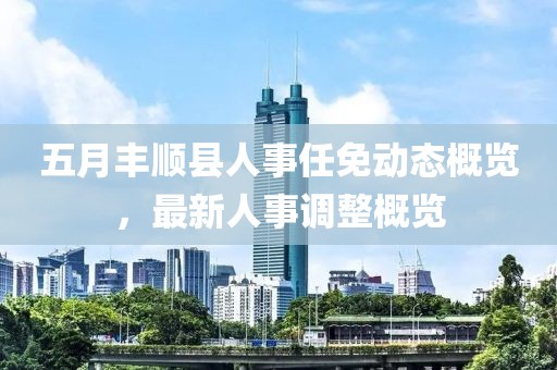五月丰顺县人事任免动态概览，最新人事调整概览