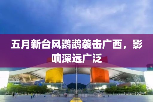 五月新台风鹦鹉袭击广西，影响深远广泛
