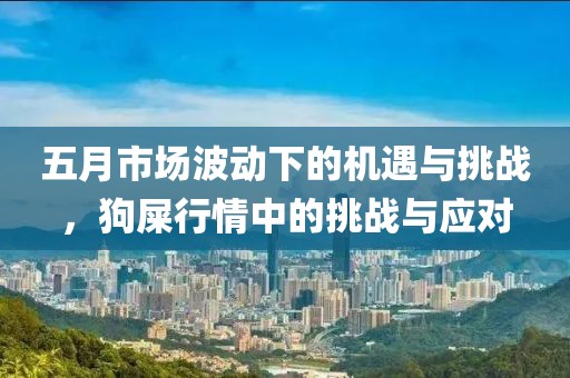 五月市场波动下的机遇与挑战，狗屎行情中的挑战与应对