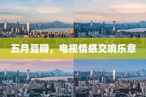五月豆瓣，电视情感交响乐章