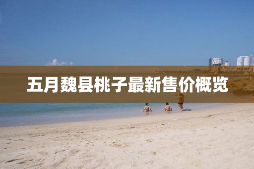 五月魏县桃子最新售价概览