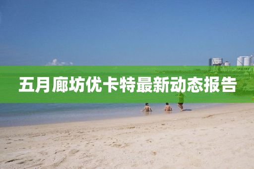 五月廊坊优卡特最新动态报告