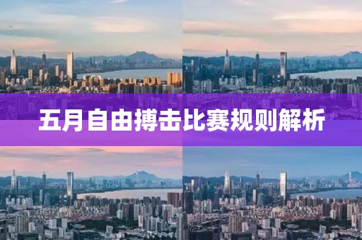 五月自由搏击比赛规则解析