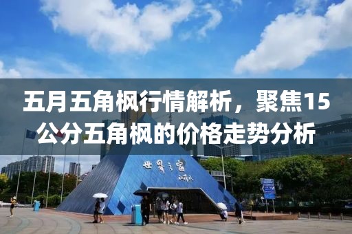 五月五角枫行情解析，聚焦15公分五角枫的价格走势分析