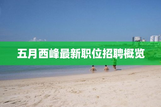 五月西峰最新职位招聘概览