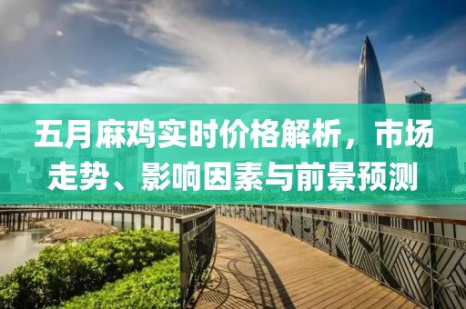 五月麻鸡实时价格解析，市场走势、影响因素与前景预测