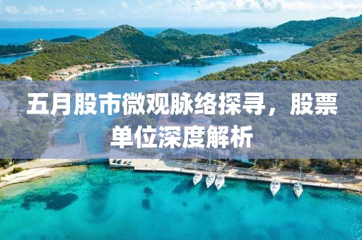 五月股市微观脉络探寻，股票单位深度解析