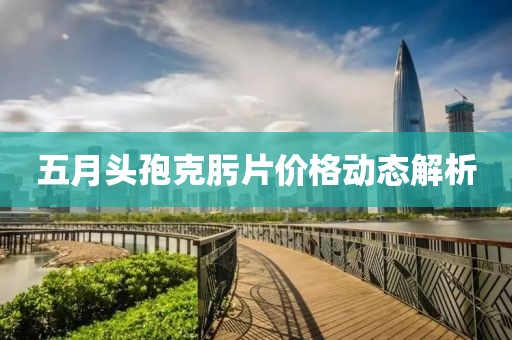 五月头孢克肟片价格动态解析
