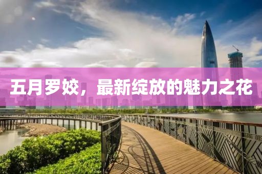 五月罗姣，最新绽放的魅力之花