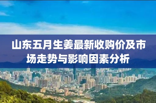 山东五月生姜最新收购价及市场走势与影响因素分析