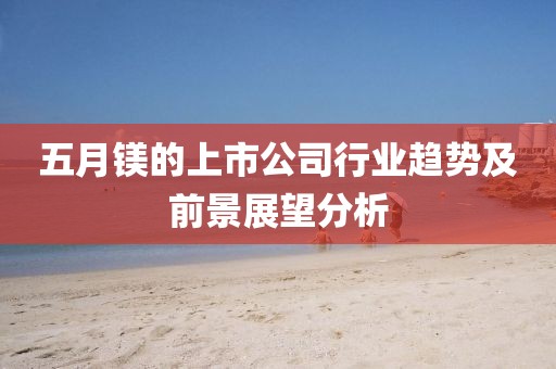 五月镁的上市公司行业趋势及前景展望分析