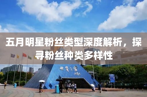 五月明星粉丝类型深度解析，探寻粉丝种类多样性